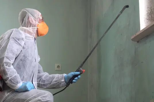Remediation Specialist thumbnail