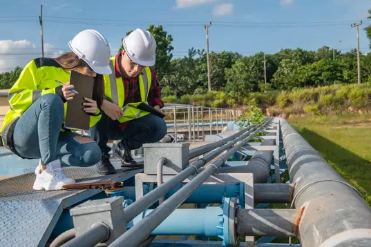 Environmental Advisor Job Description (Salary, Skills)