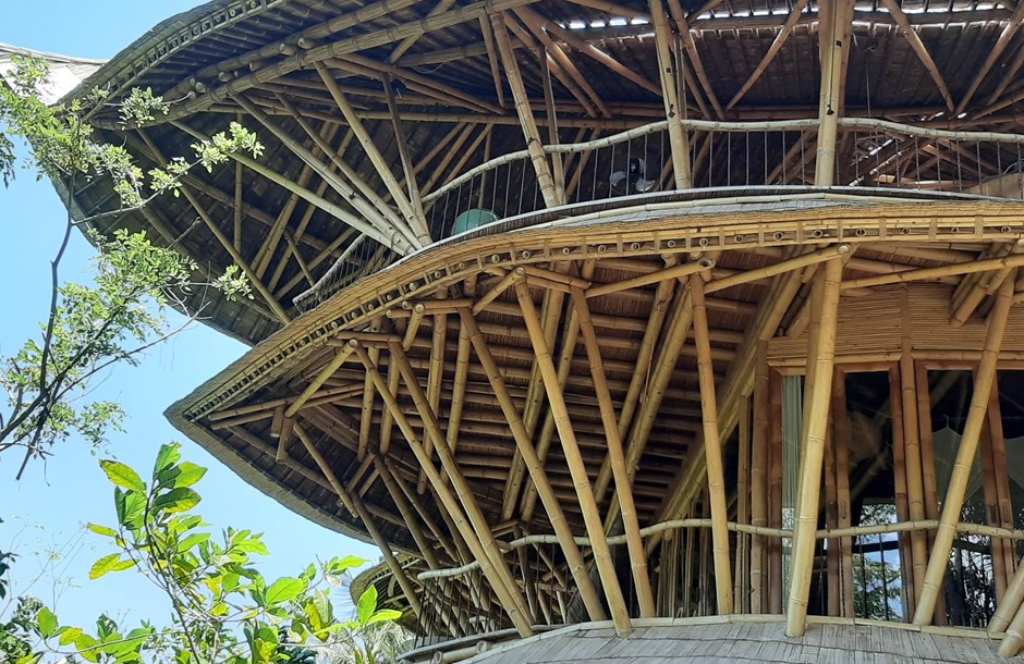 Bamboo being used to create a sustainable building in Bali